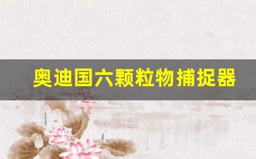 奥迪国六颗粒物捕捉器和三元催化,2020款奥迪a6l有颗粒捕捉器吗