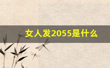 女人发2055是什么意思,2055的寓意与像征