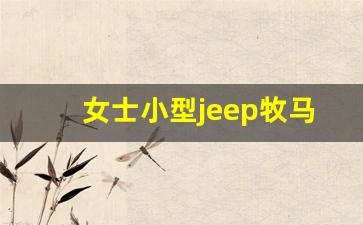 女士小型jeep牧马人