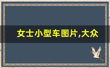 女士小型车图片,大众小糯米2023款图片