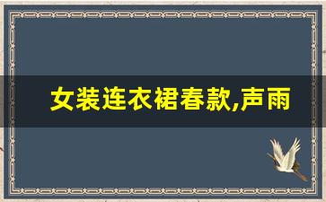 女装连衣裙春款,声雨竹春秋女外套2019新款