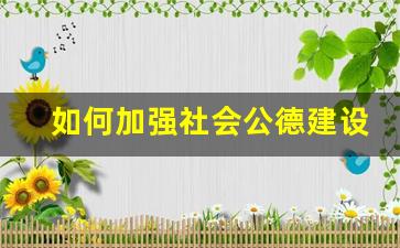 如何加强社会公德建设