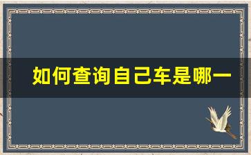 如何查询自己车是哪一款配置,输入车辆识别号查车型