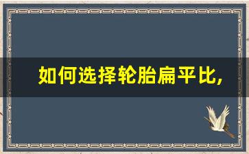 如何选择轮胎扁平比,轮胎增加扁平比