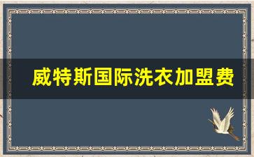 威特斯国际洗衣加盟费多少钱,干洗店免费加盟连锁