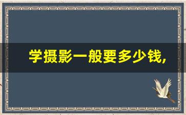 学摄影一般要多少钱,摄影师一般学几年能出