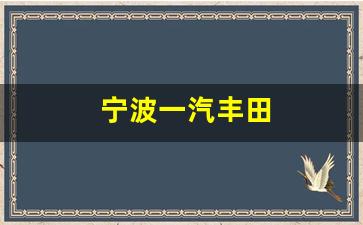 宁波一汽丰田