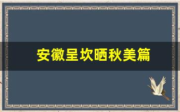 安徽呈坎晒秋美篇