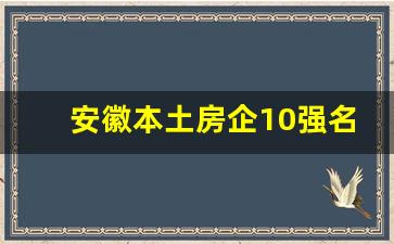 安徽本土房企10强名单