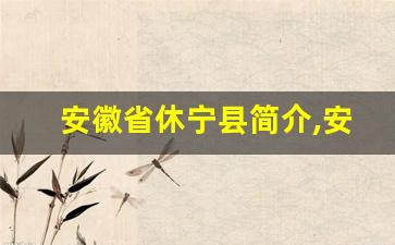 安徽省休宁县简介,安徽休宁县有什么景点