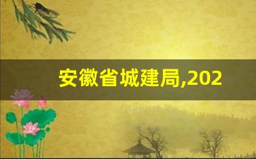 安徽省城建局,2023年住房城乡建设情况