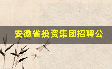 安徽省投资集团招聘公示