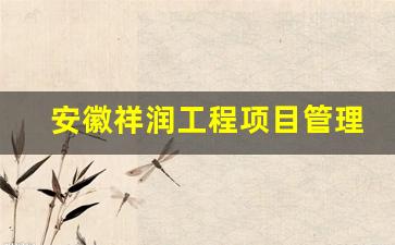 安徽祥润工程项目管理有限公司,安徽益祥建设集团有限公司