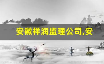 安徽祥润监理公司,安徽省监理协会考试网