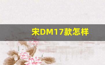 宋DM17款怎样