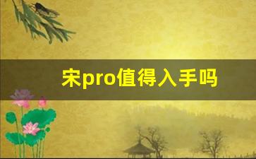 宋pro值得入手吗