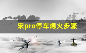 宋pro停车熄火步骤