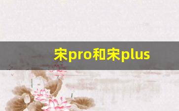 宋pro和宋plus哪个更值得买