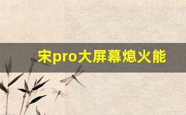 宋pro大屏幕熄火能用不,宋pro熄火后还能玩平板吗