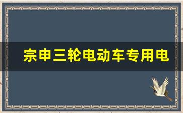 宗申三轮电动车专用电池