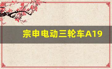 宗申电动三轮车A19什么电机,宗申电三轮原装电机