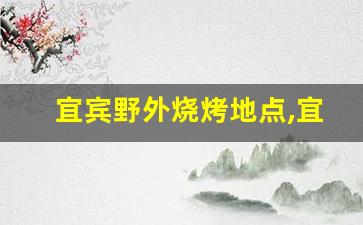 宜宾野外烧烤地点,宜宾市烧烤一条街在哪儿