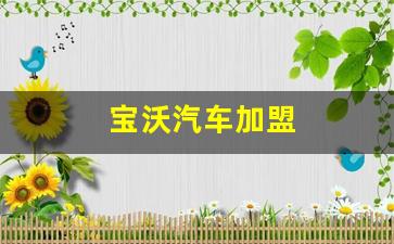 宝沃汽车加盟