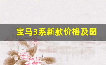 宝马3系新款价格及图片,新款宝马3系2020款