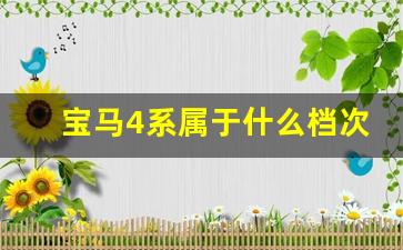 宝马4系属于什么档次,买宝马x4的都是哪些人