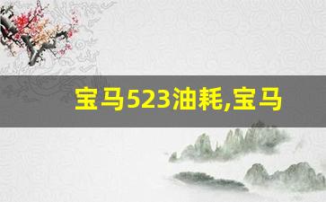 宝马523油耗,宝马523价格及图片