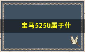 宝马525li属于什么档次,宝马525售价多少万