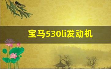 宝马530li发动机型号,宝马530li最小离地间隙