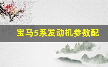 宝马5系发动机参数配置,24款宝马五系配置