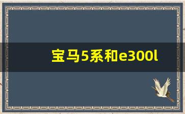 宝马5系和e300l怎么选