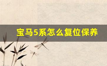 宝马5系怎么复位保养提示,宝马320li保养提示复位