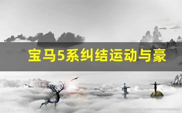 宝马5系纠结运动与豪华,宝马530运动好还是豪华好