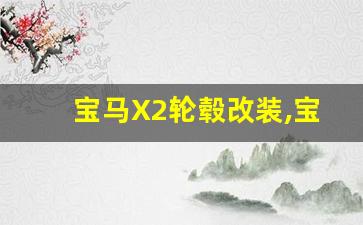 宝马X2轮毂改装,宝马X2和320选哪个