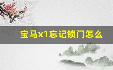 宝马x1忘记锁门怎么办,宝马x1可以自动落锁吗