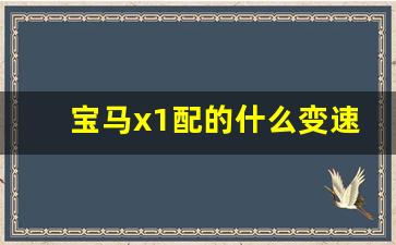 宝马x1配的什么变速箱,宝马1系变速箱是哪家的