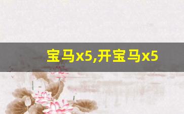 宝马x5,开宝马x5一般什么档次人