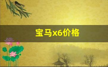 宝马x6价格