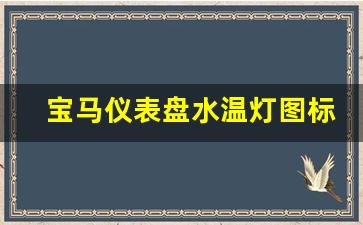 宝马仪表盘水温灯图标,宝马5系正常水温图