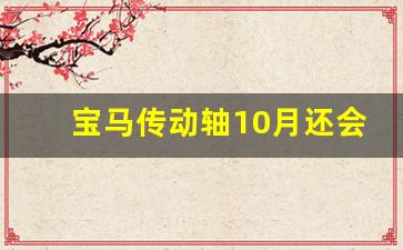 宝马传动轴10月还会响吗,宝马异响普遍现象吗