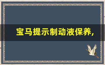 宝马提示制动液保养,宝马5系制动液多长时间更换一次