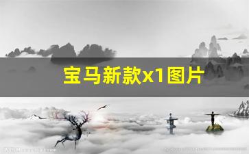 宝马新款x1图片