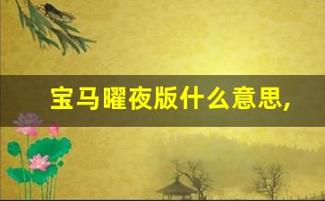 宝马曜夜版什么意思,宝马3系曜夜版是什么意思