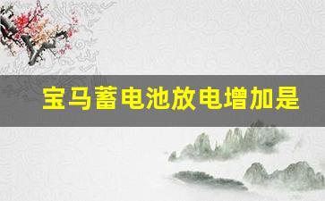 宝马蓄电池放电增加是什么意思,宝马更换蓄电池后提示放电量增加