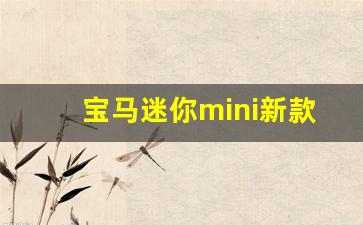 宝马迷你mini新款女式,二手mini多少钱一辆