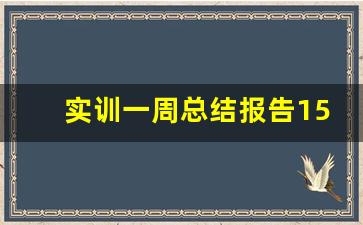 实训一周总结报告1500,实训报告1500字大学篇