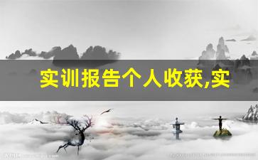 实训报告个人收获,实训课的收获和体会